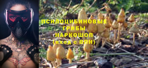герыч Переславль-Залесский