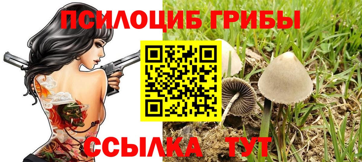 Галлюциногенные грибы ЛСД  Вход с VPN  Ахтубинск 