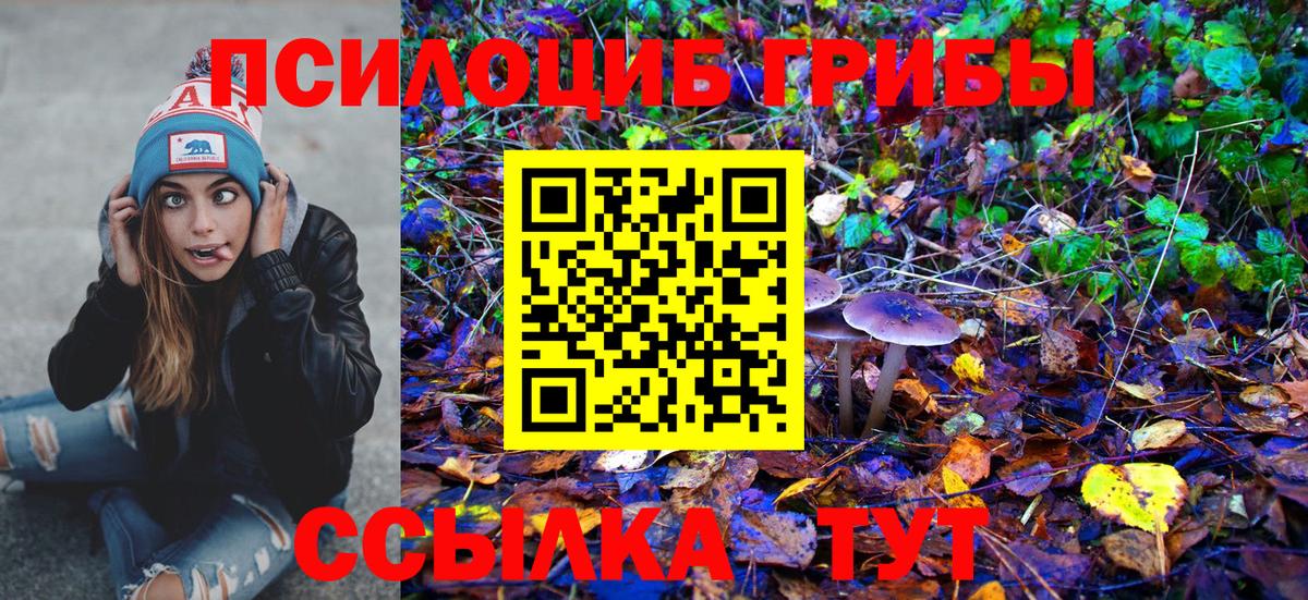 Псилоцибиновые грибы GOLDEN TEACHER Ахтубинск