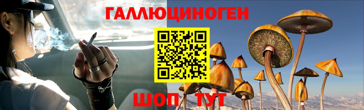 Галлюциногенные грибы ЛСД  Псилоцибиновые грибы Magic Shrooms  Ахтубинск 